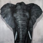 Leinwand mit Elefant 2,50m x 2m