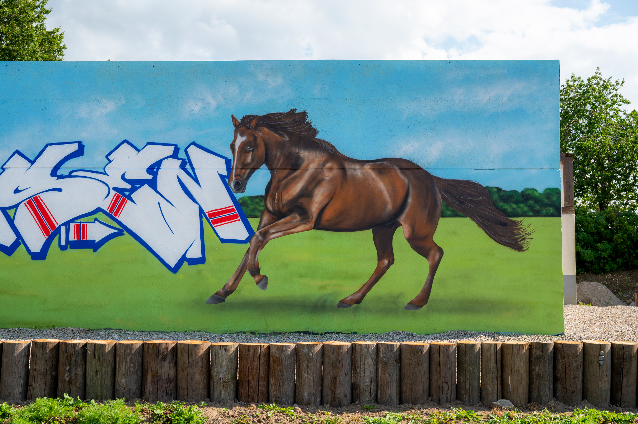 Graffiti auf Pferde Hof in Schleswig Holstein