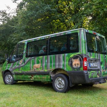 Ford Transit mit Waldmotiven und norddeutschen Tieren, kreativ bemalt für den Waldkindergarten Handewitt.