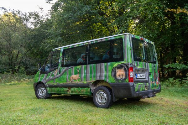 Ford Transit mit Waldmotiven und norddeutschen Tieren, kreativ bemalt für den Waldkindergarten Handewitt.